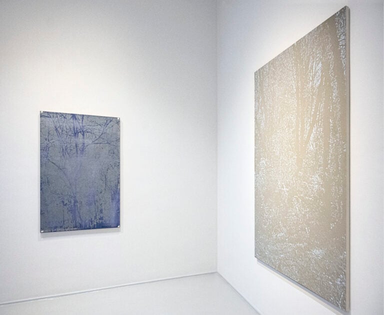 Luca Pancrazzi, Urbs ex arboribus, Marcorossi Arte Contemporanea, Installation View