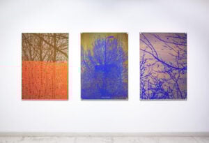 Tripla mostra per l’artista Luca Pancrazzi. Pittura e archivio a Milano, Torino e Verona