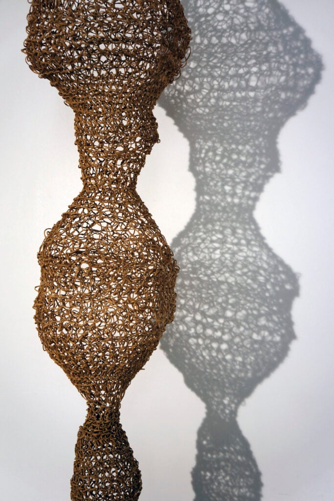 Paola Anziché, dettaglio, 2018, carta e filo di ferro