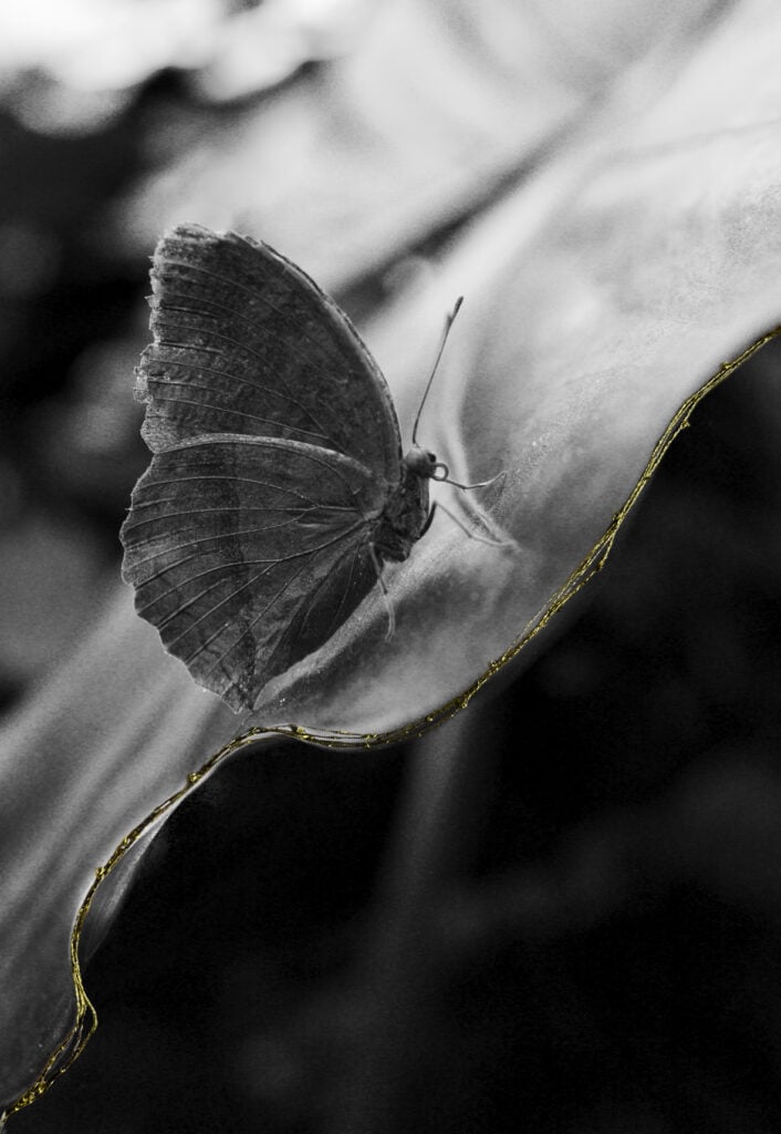 Anna Caterina Masotti – Eden. Il giardino dell’anima