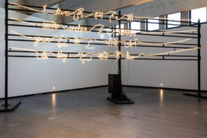 In Germania la prima mostra dell’artista Shilpa Gupta ha un impianto monumentale 