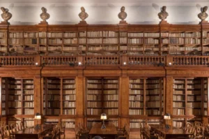 Nora Turato - To the Best of My Knowledge