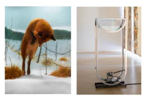 Claudia Amatruda - A Body Engineered by Water