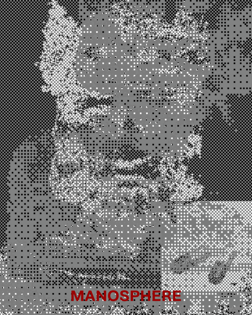 Agnete Morell, The Manosphere (2025) _ Image © Agente (Courtesy of the Artist)