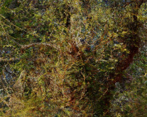 Quayola - Pointillisme