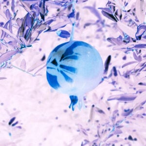 Beyond Heritage. Un percorso fotografico tra arte e scienza