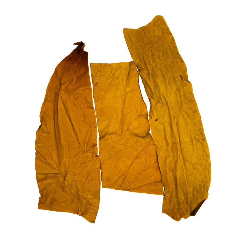 Designed To Be Delicious