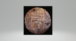 Patrizia Trevisi - De Rebus Naturae