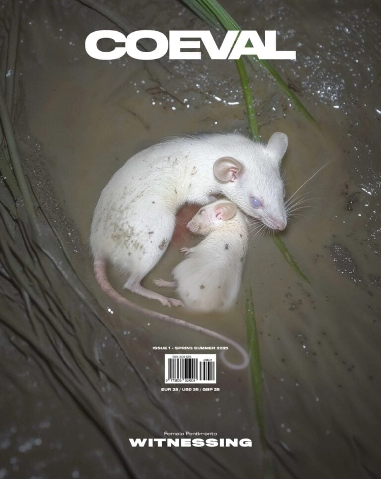 COEVAL magazine, copertina