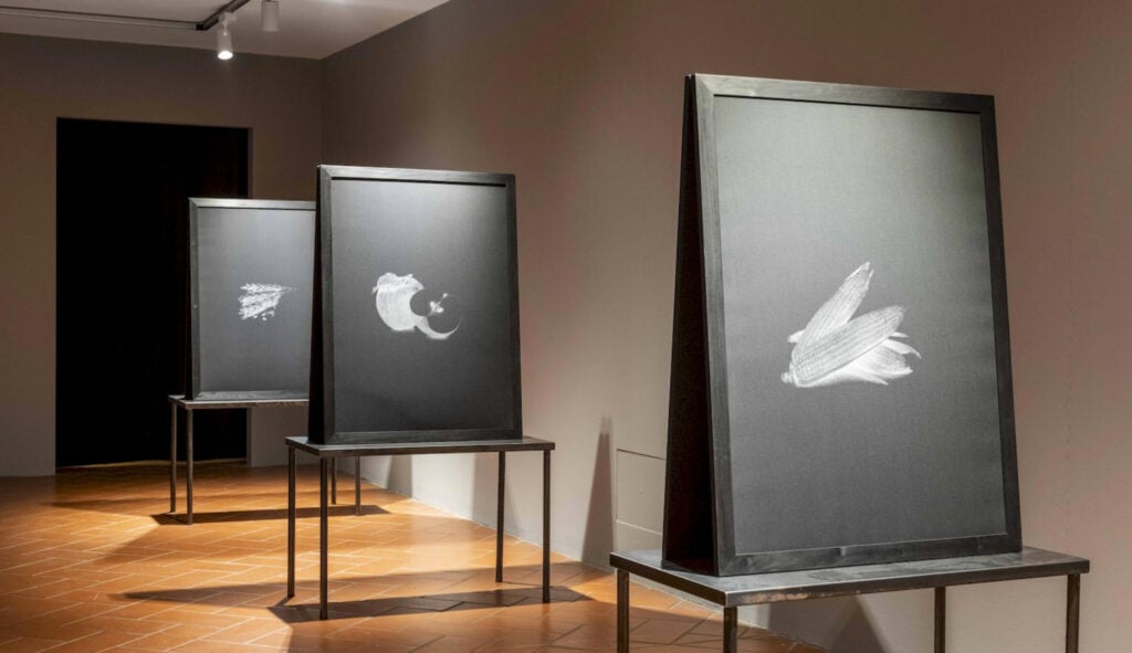 Cosimo Veneziano, Biomega, 2022, MUFOCO. Courtesy MUFOCO, &copy; Cosimo Quartana