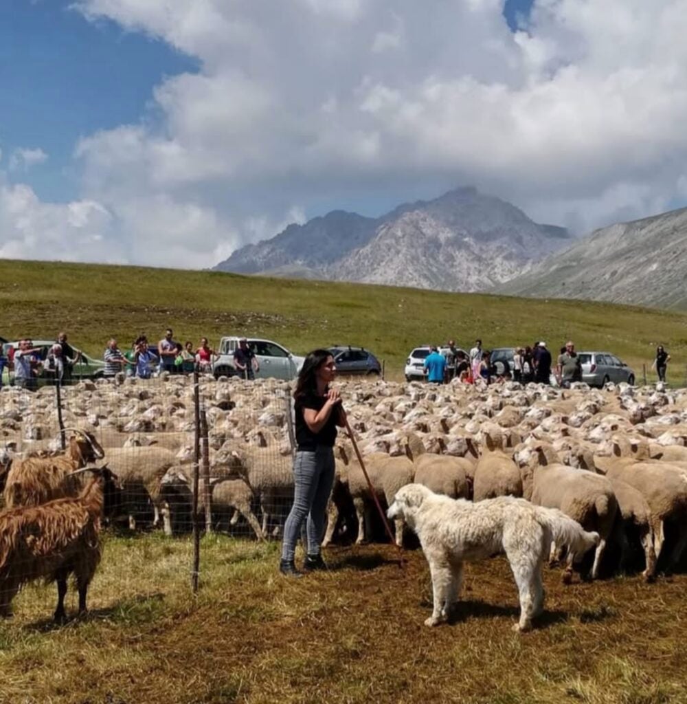 Courtesy AquiLANA - Valeria Gallese