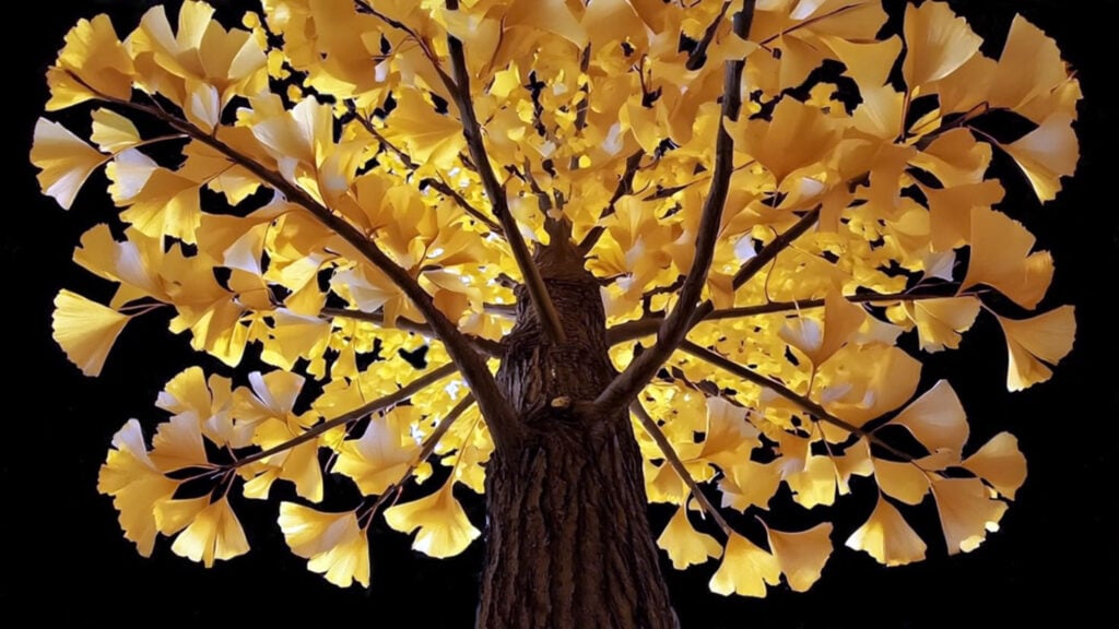 Debora Hirsch – Vanishing Trees