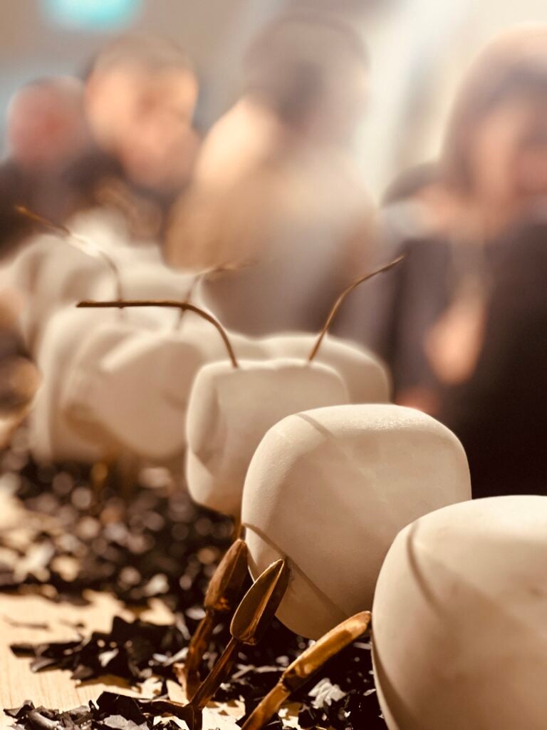 Deus Sive Natura, Silvia Scaringella, Museo Bilotti, Foto di Maura Crudeli, Installation view