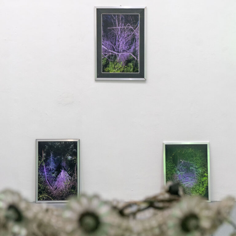 I Decoderiani, John Cascone, Studio Drang, Roma, 2025