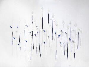 Elmira Abolhassani - Diafania