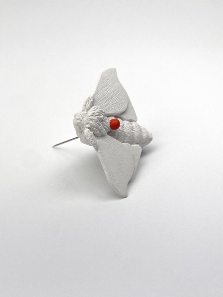 Fabiola Porchi, Materia Estinta, 2025