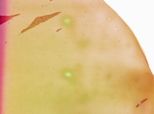 Cati Bestard Rotger - To Avoid an Infinite Loop