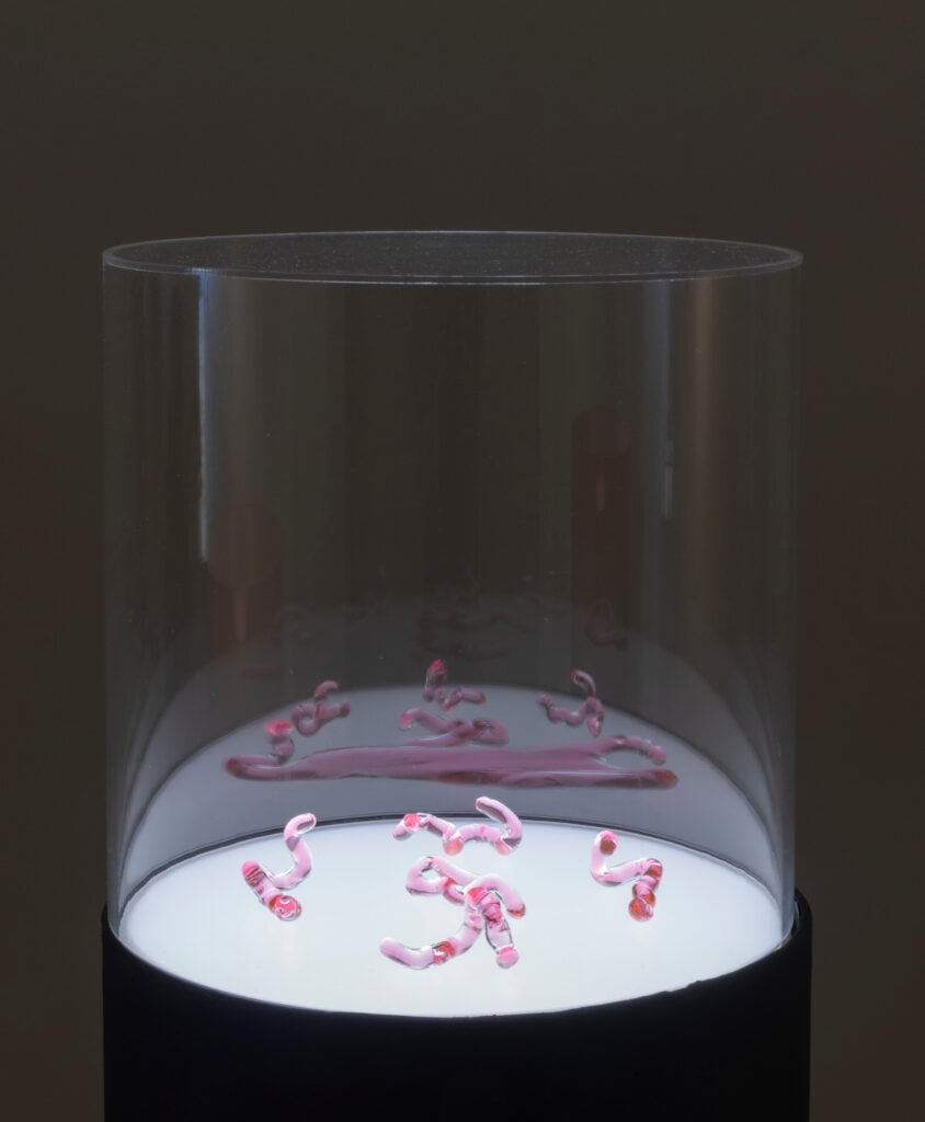 Heather Dewey-Hagborg, Lovesick- The Transfection, 2019, Custom retrovirus, glass (10 vials), Courtesy Fridman Gallery, &copy; Adam Reich