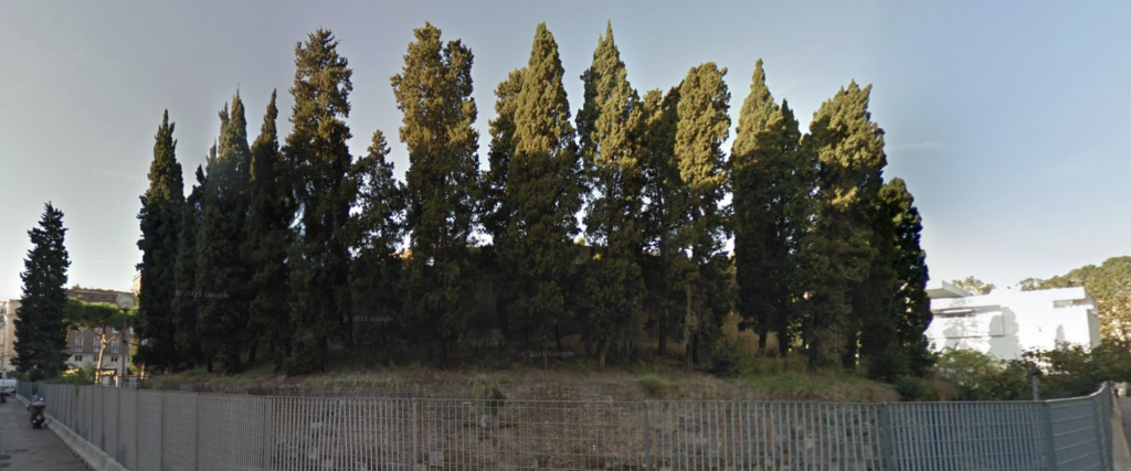 Sono stati giustamente abbattuti i cipressi del Mausoleo di Augusto (ma a Roma polemiche da mesi)