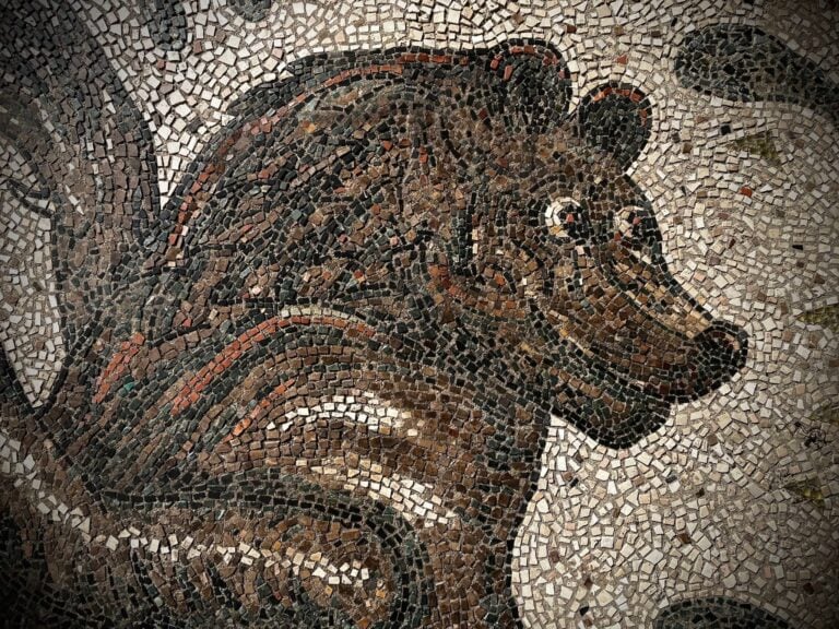 Il Pavimento di Nicola Montalbini