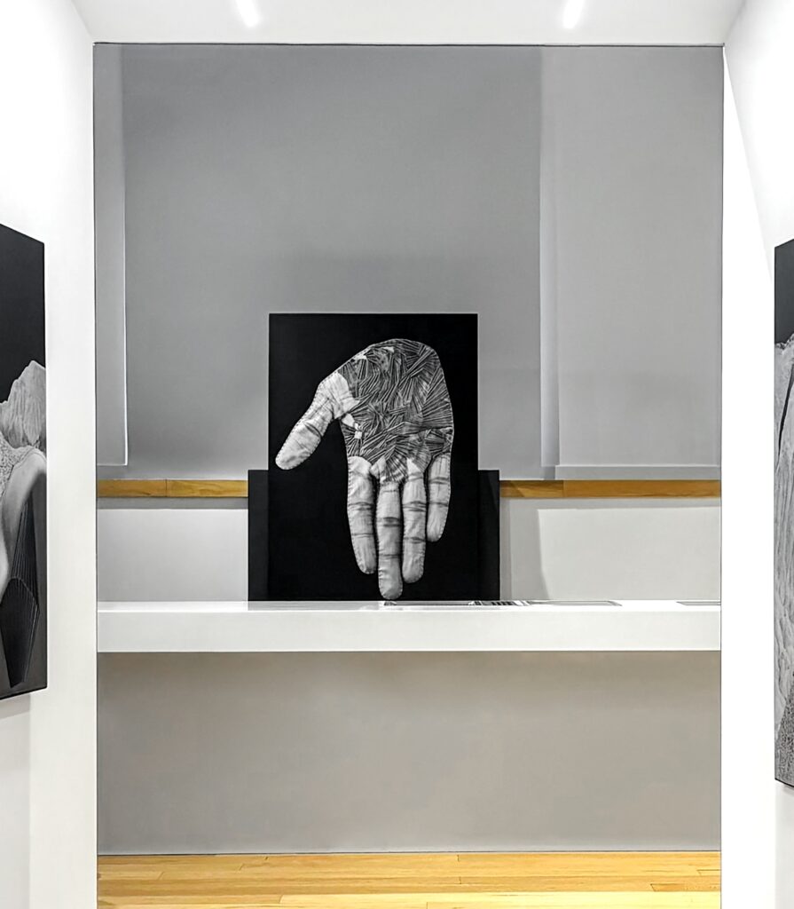 Betty Salluce – Punti di contatto