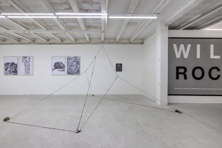 La mostra Boulder da Galleria Michela Rizzo alla Giudecca