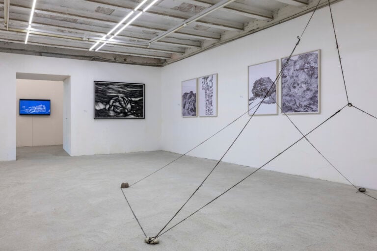 La mostra Boulder da Galleria Michela Rizzo alla Giudecca