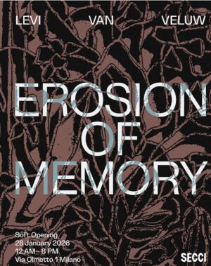 Levi van Veluw - Erosion of Memory