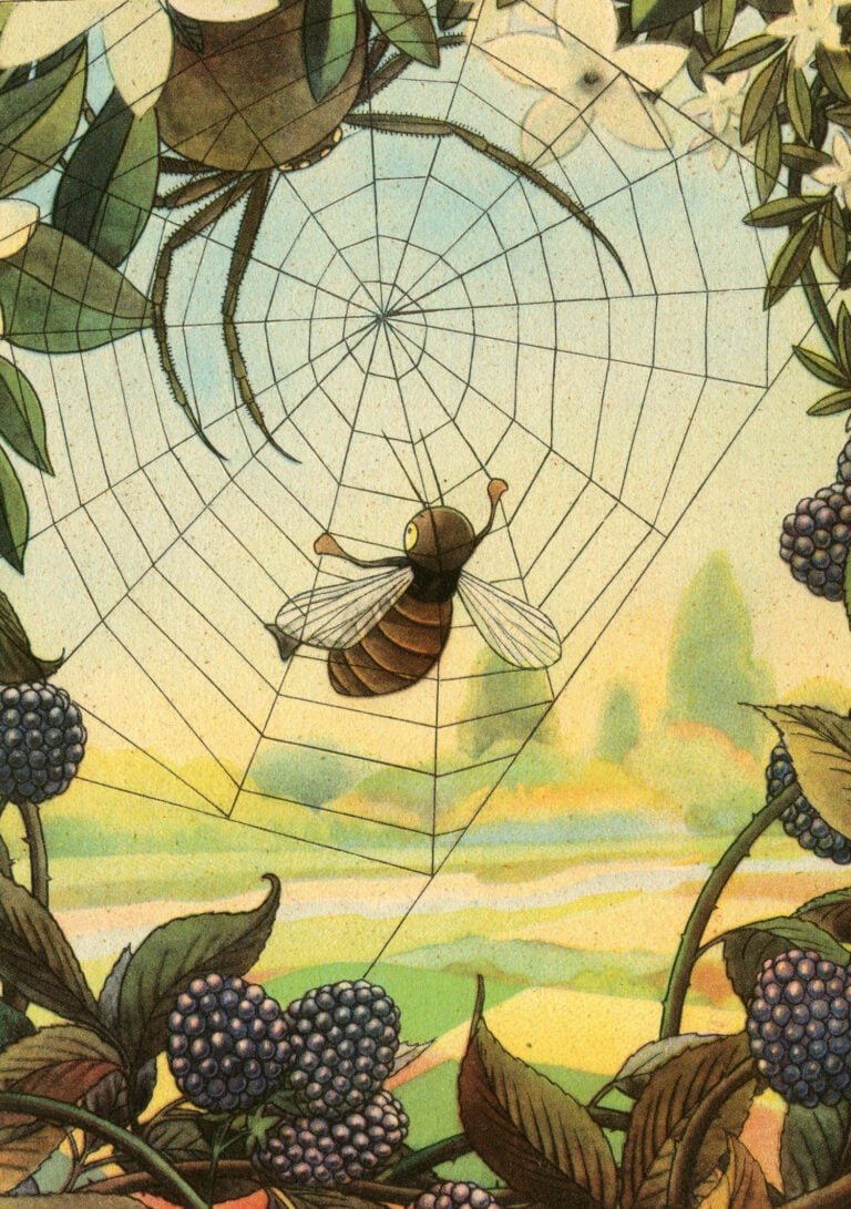 Maya prima di Maya 3 illustrazione di Gino Baldo per edizione 1946