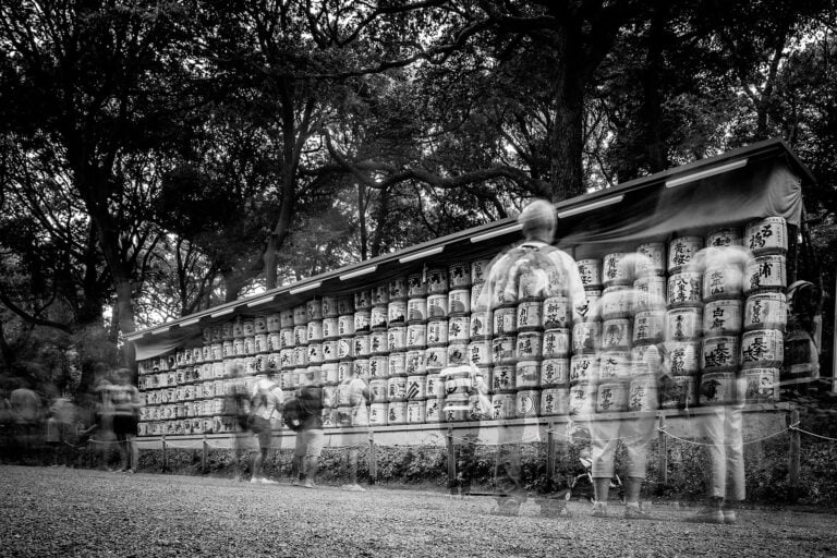 Mostra "La Via del Sabi", Andrea Lippi, Meiji-jingu - Tokyo, 2015