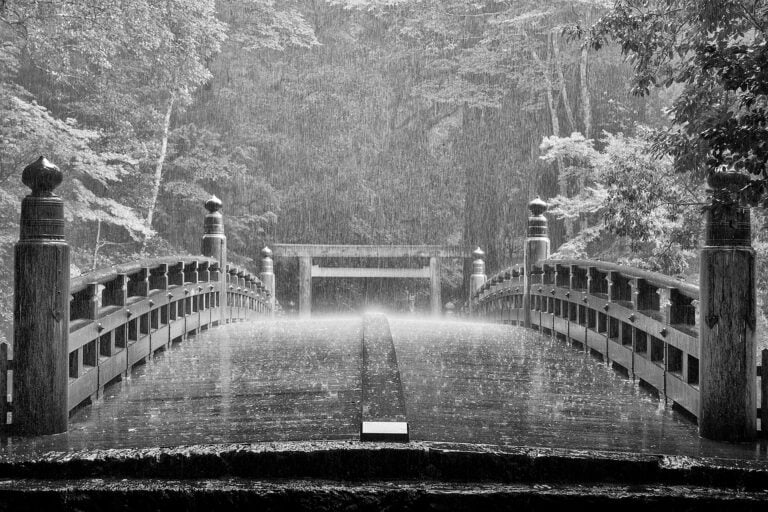 Mostra "La Via del Sabi", Andrea Lippi, Ise, 2019