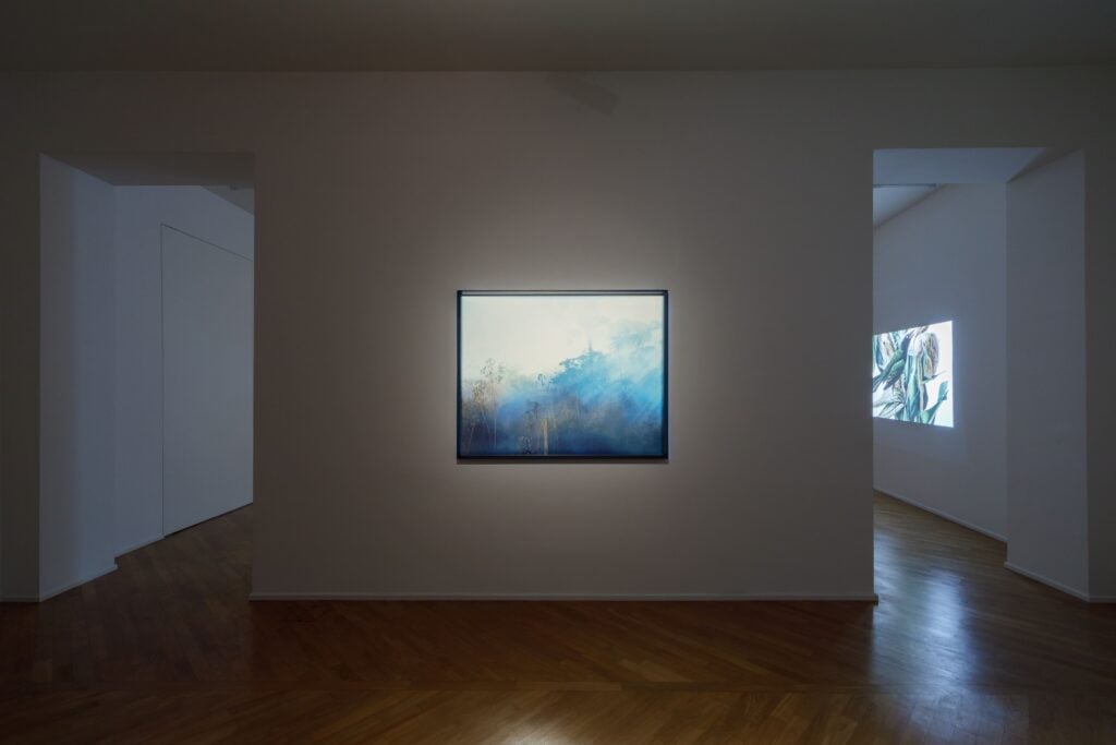 non è una somma di fatti, ma un modo di vita, 2025. Courtesy of Galleria Umberto di Marino