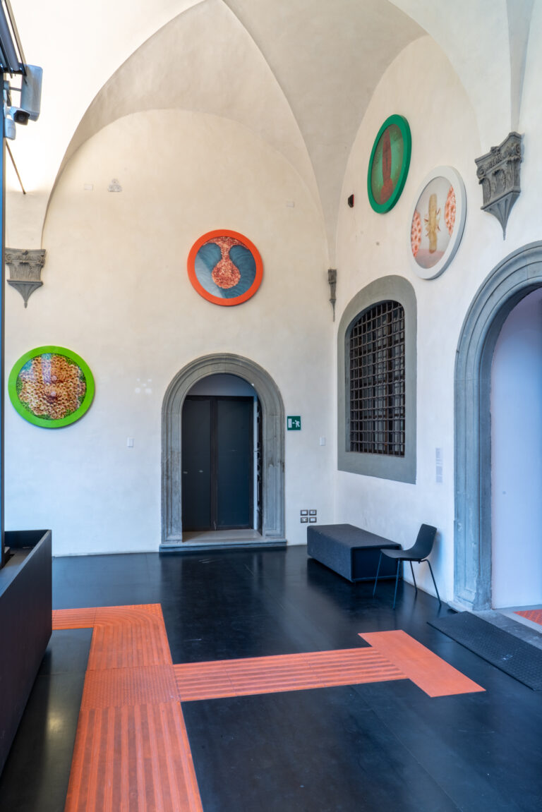 La prima retrospettiva italiana dedicata alla grande artista Helen Chadwick &egrave; a Firenze&nbsp;