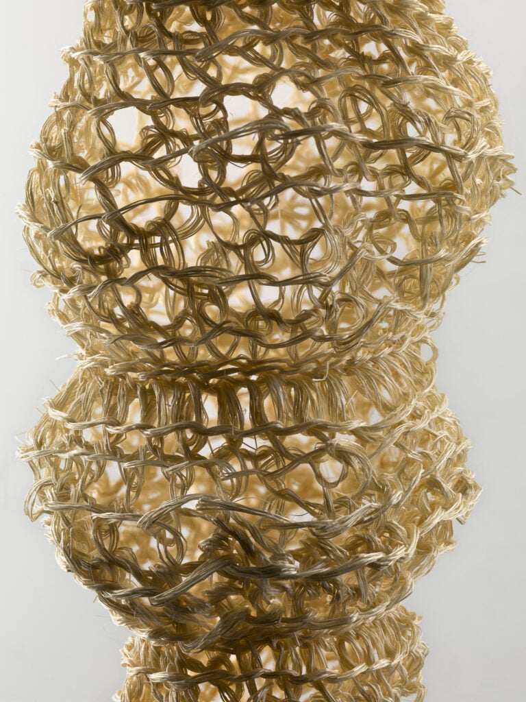 Paola Anziché, dettagli, fibra di Abaca