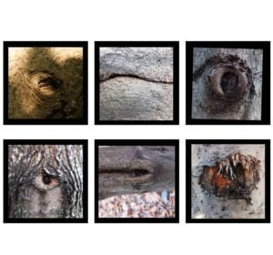 Amore Incondizionato