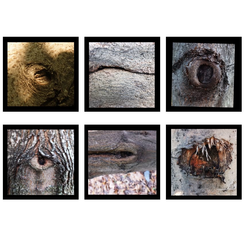 Amore Incondizionato