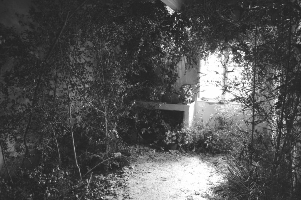 Duccio Ricciardelli – Campi Lunghi