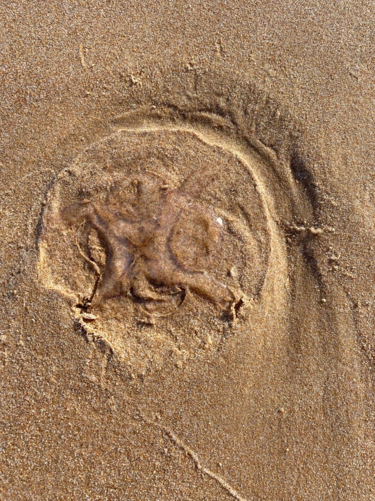 Eva Löfdahl – Counterflow