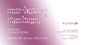 Silvia Bigi / Eleonora Roaro - Non-Binary Machines
