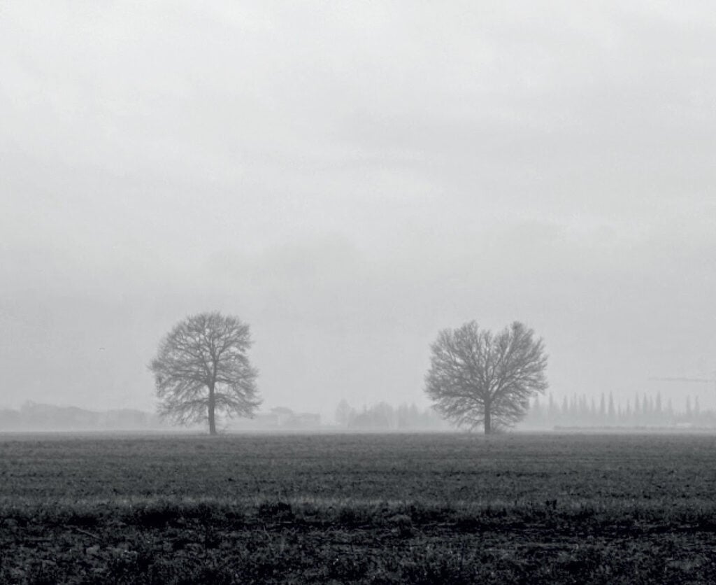 Lara Querci – Sempre meglio due