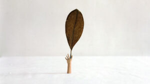 Santa Nastro a Palazzo Maffei