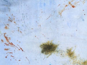 Agnes Waruguru - From What We Are