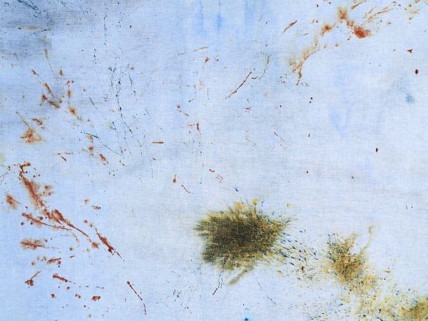 Agnes Waruguru – From What We Are