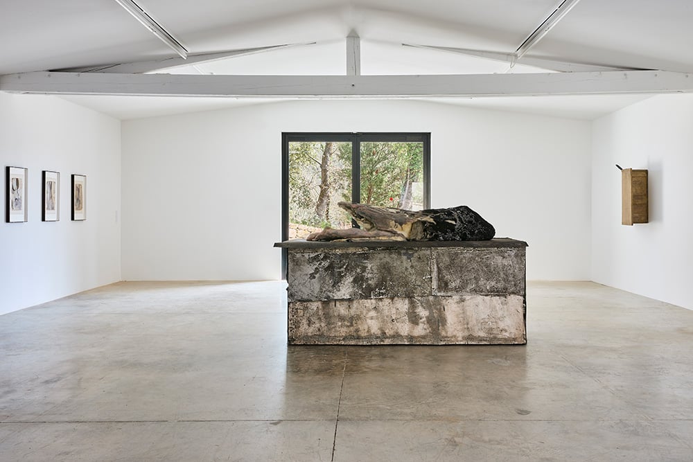 Berlinde de Bruyckere, City of Refuge I Commanderie de Peyrassol