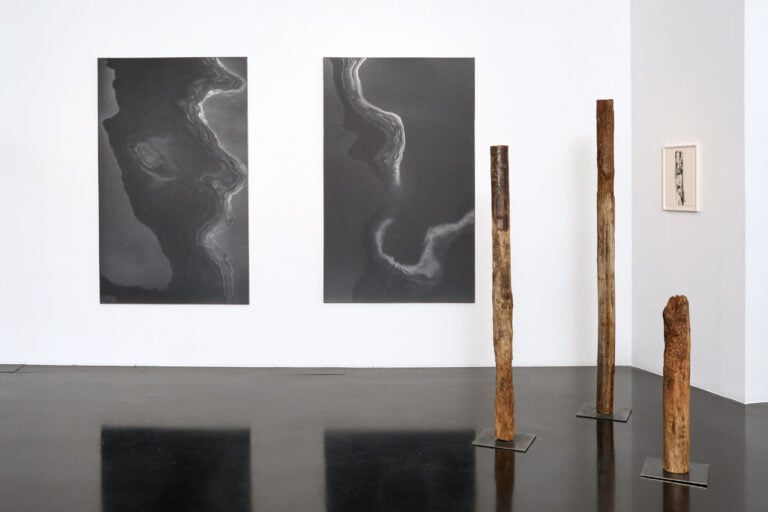 Rhinoceros x Bigaignon, Nello Spazio 3-3, Installation view, &copy;Simon d&rsquo;Exea