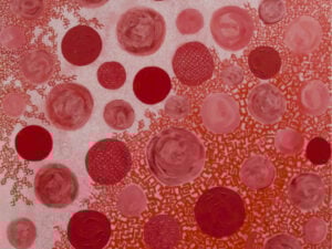 Anzai Tsuyoshi - Anima