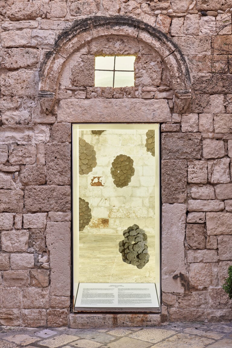 Polignano a Mare (BA), ExChiesetta. Donato Trovato, "Mente alveolare", 2026. Ph: Marino Colucci 2026