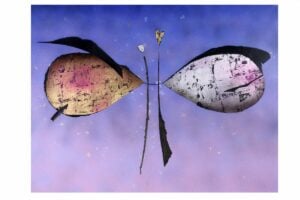 Luciana Cicogna - Opere 2012-2025