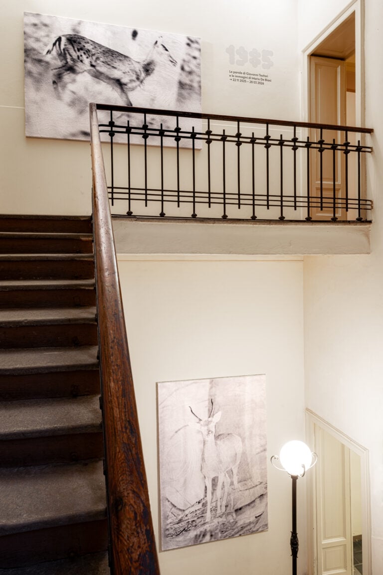 Installation view, lavori di Luca Campestri. NEVEr alone, Casa Testori, 2025. Crediti fotografici: Flavio Pescatori