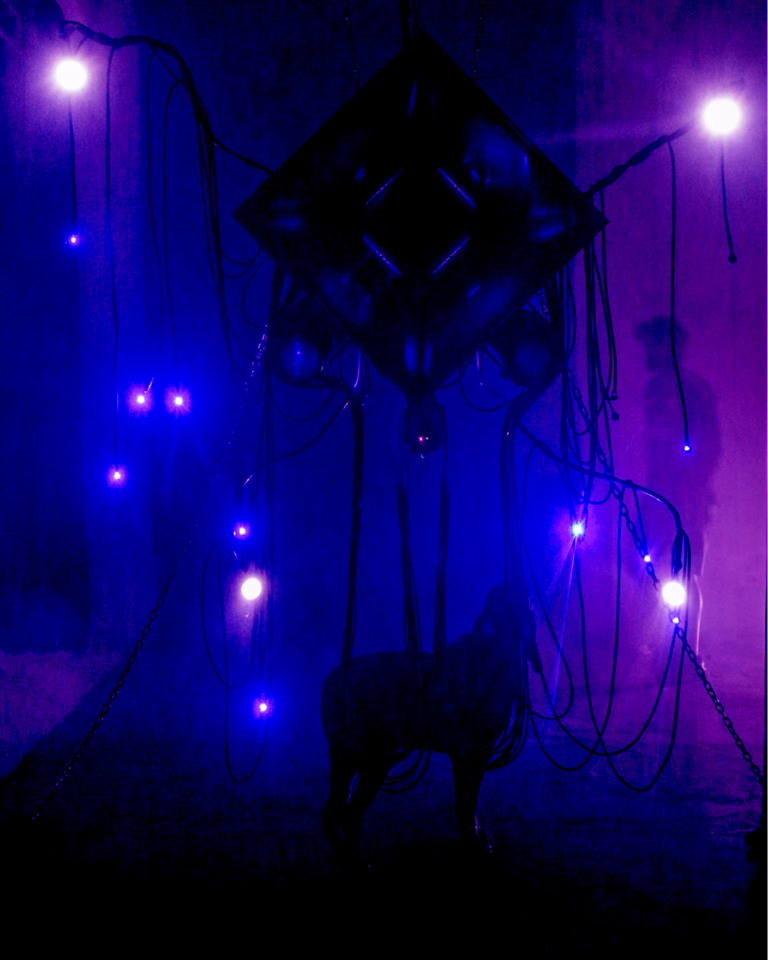 THEIA PARDIGM, S3NTINEL, Liminal Space Roma